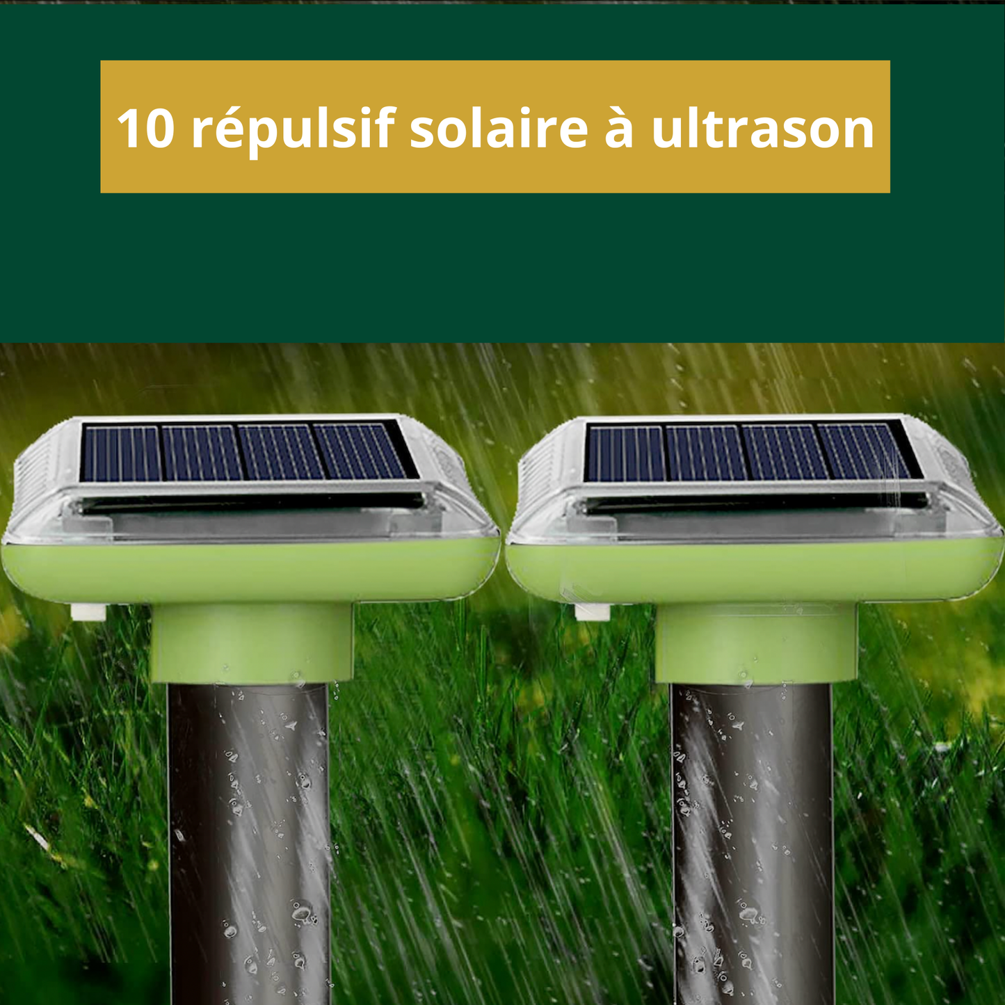Répulsif solaire pour taupes/Ecureuil/ Rongeurs