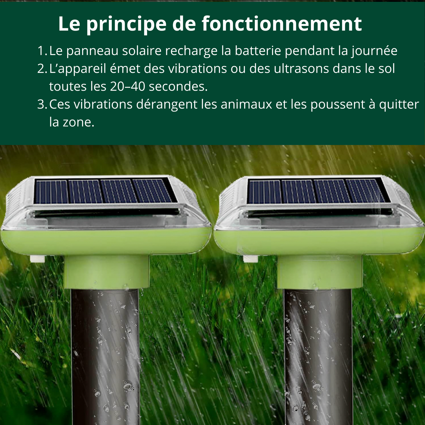 Répulsif solaire pour taupes/Ecureuil/ Rongeurs