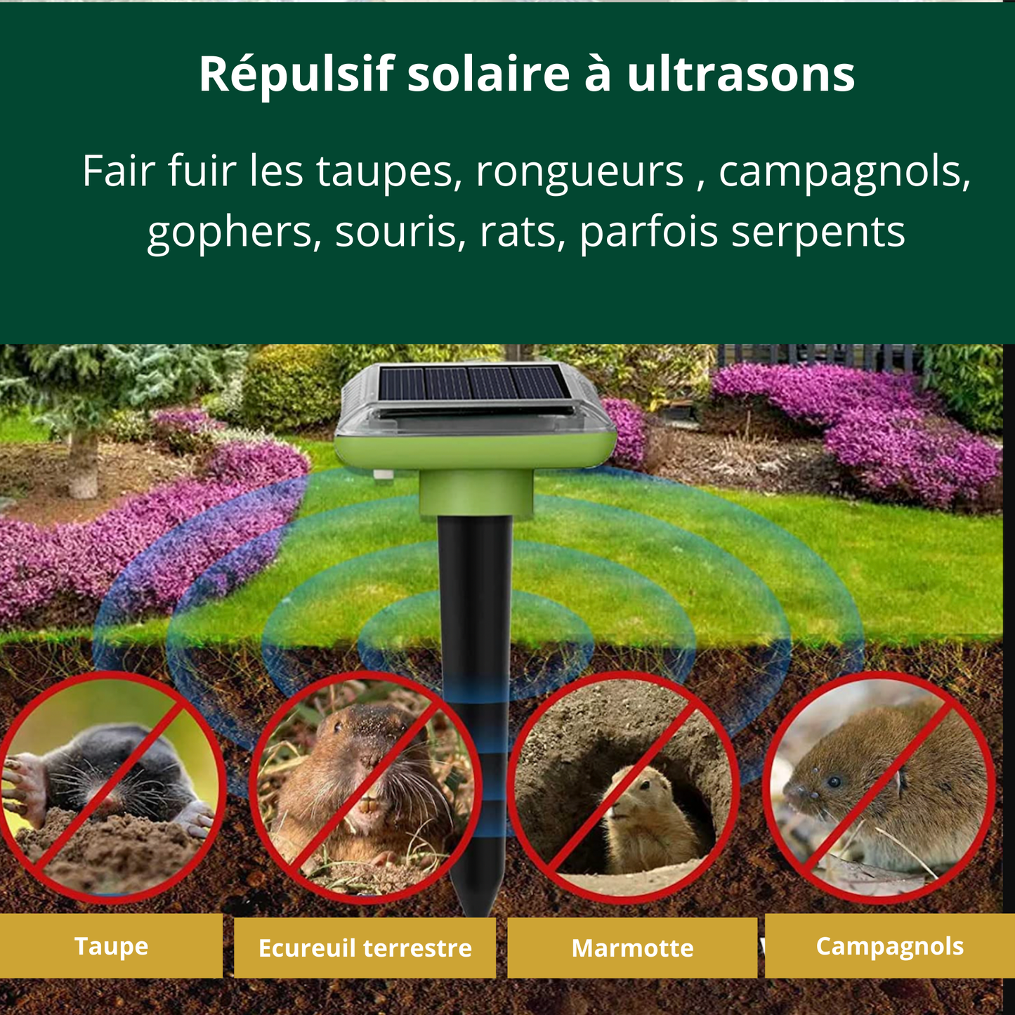 Répulsif solaire pour taupes/Ecureuil/ Rongeurs