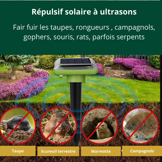 Répulsif solaire pour taupes/Ecureuil/ Rongeurs